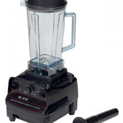 BL010 Blender